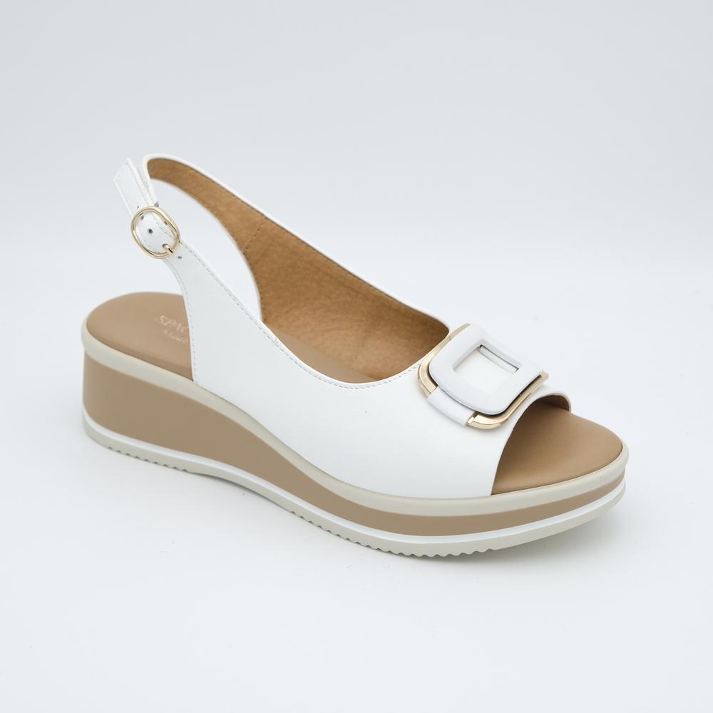 01560_8|ff37f73b5bacfd000ff6f00e322d0b0a